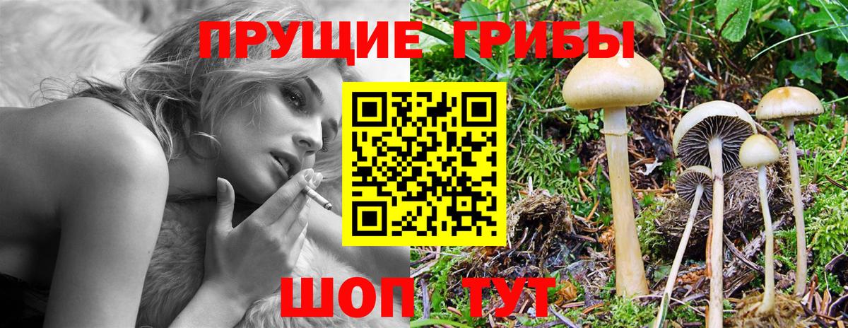 Галлюциногенные грибы мухоморы Ханты-Мансийск